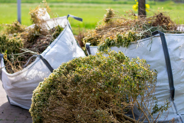 Debris Removal in Cloverdale, VA